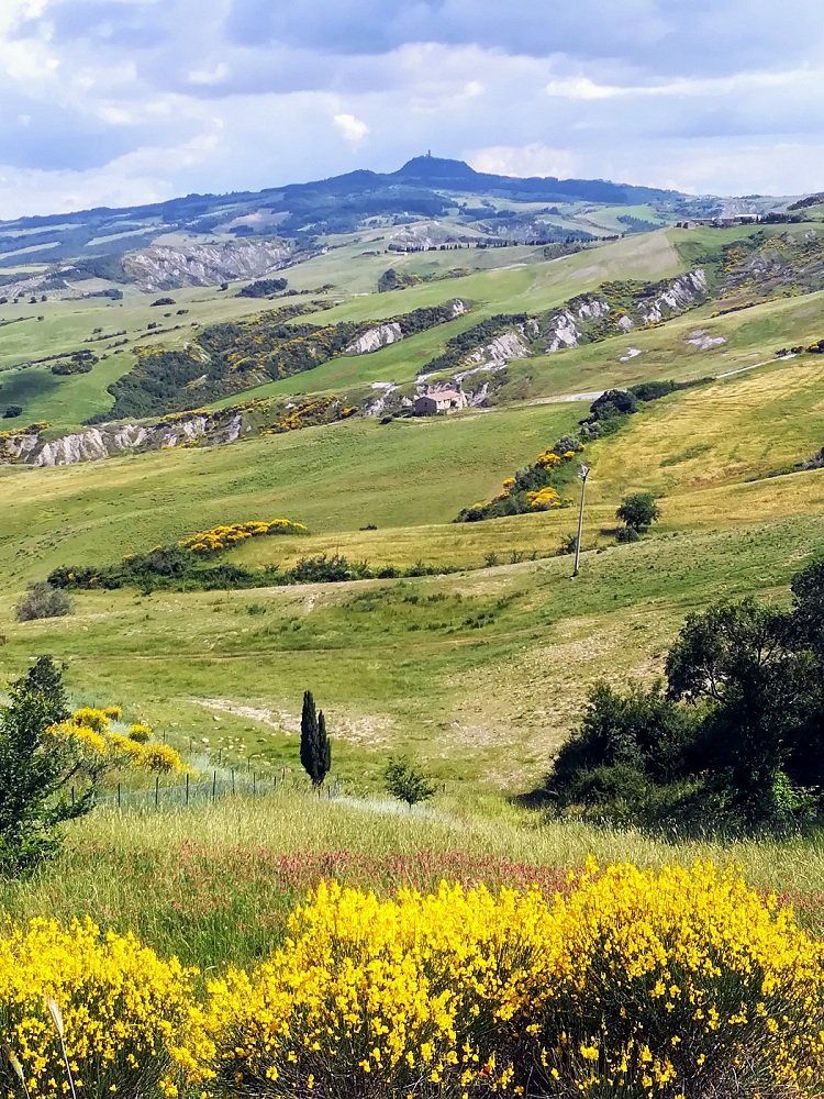 colline toscane