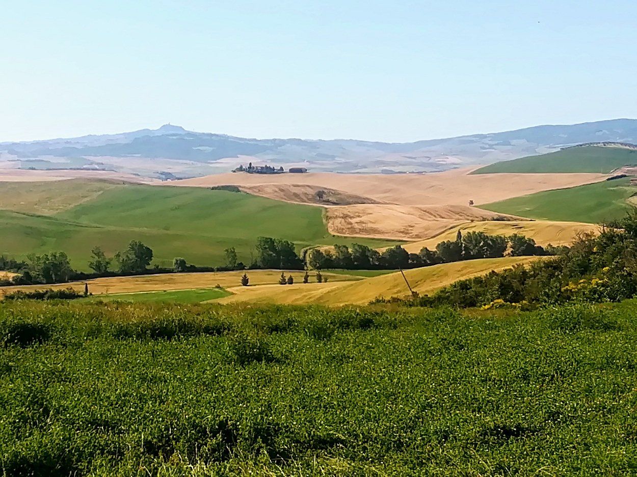 vallate