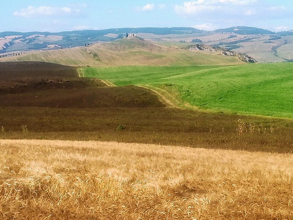 paesaggio collinare in Toscana