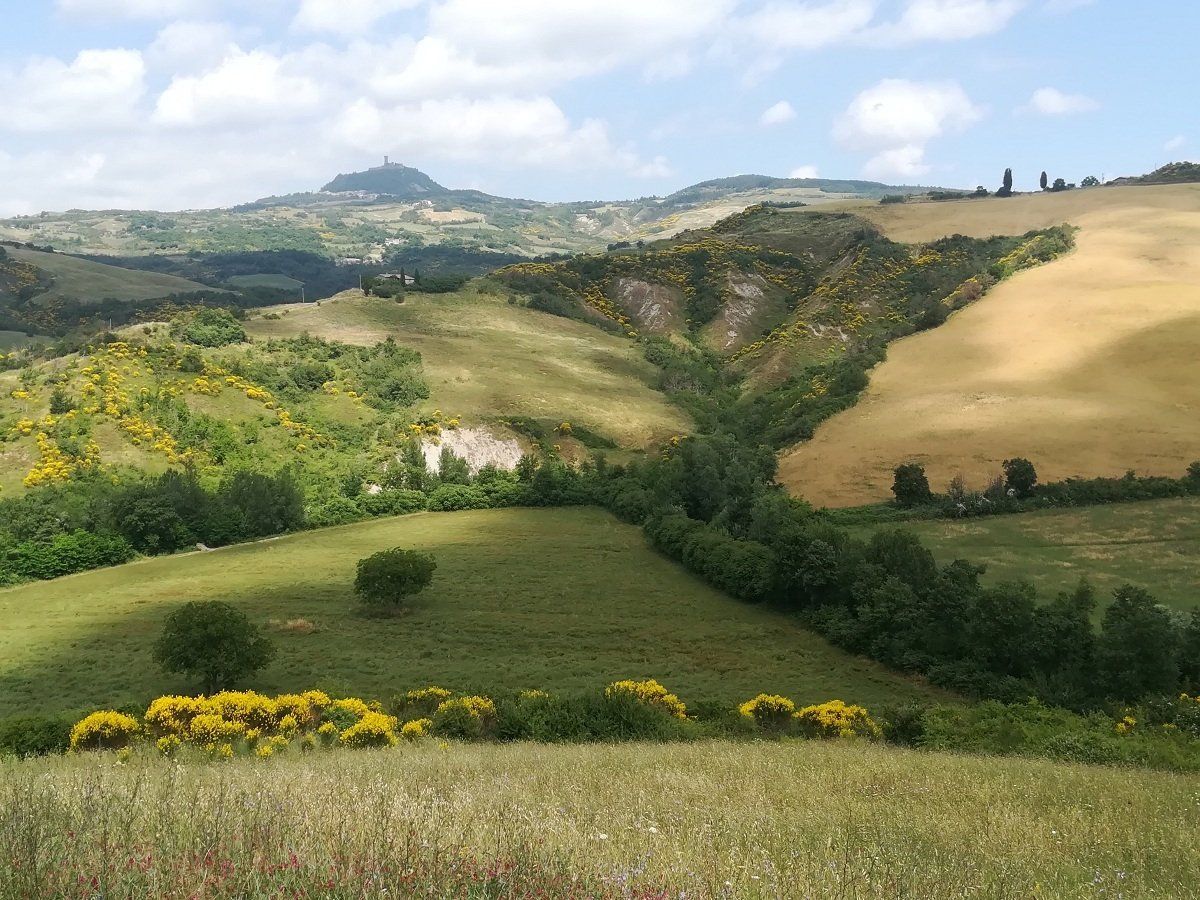 paesaggio della Val d'Orcia