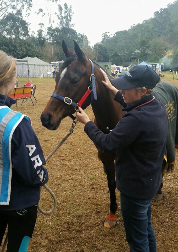 Two Female Vet Examining Horse Outdoors — Animal Health Care in Grafton, NSW