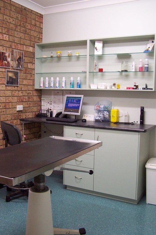 Pet Examination Room — Animal Health Care in Grafton, NSW