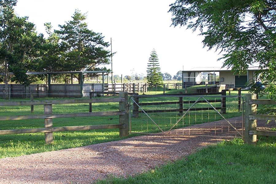 Grafton Veterinary Yard — Animal Health Care in Grafton, NSW
