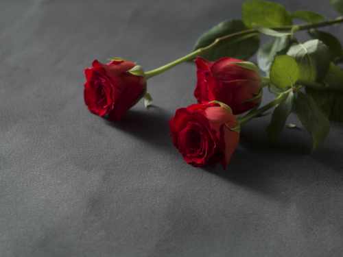mazzo di fiori per funerale