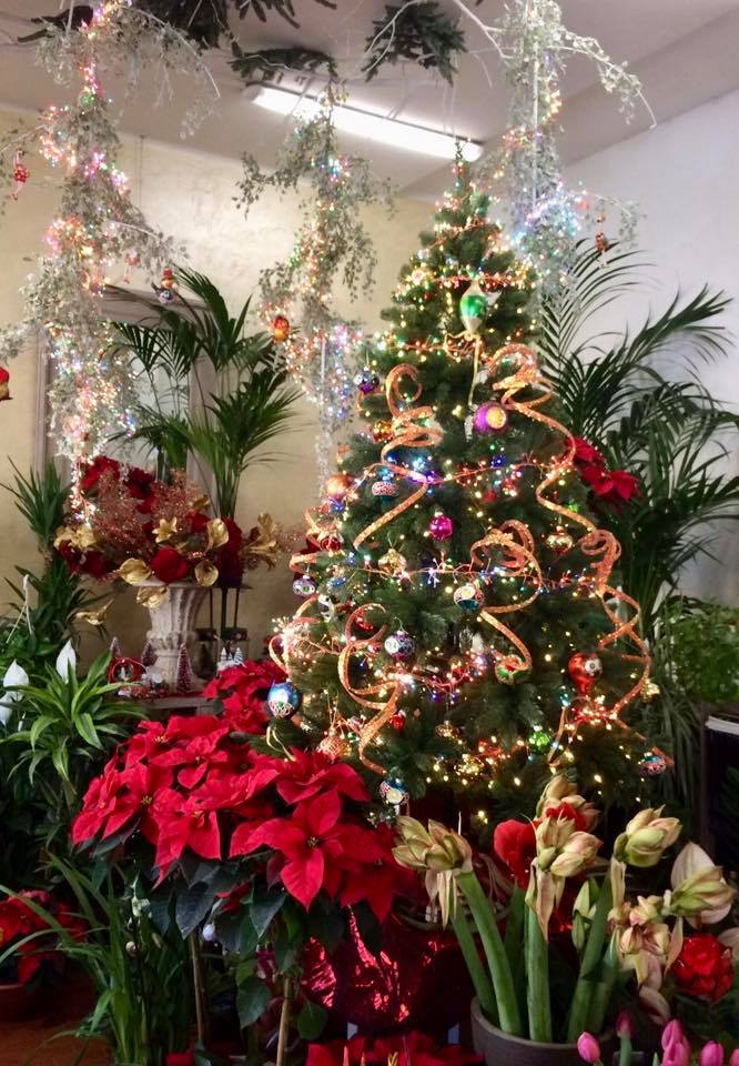 albero e stella di Natale