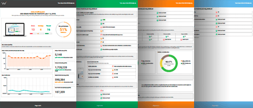 White Label New Leads Audit Reports