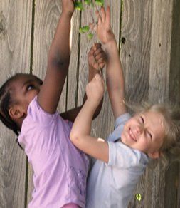 two girls getting the tree vines two girls getting the tree vines
