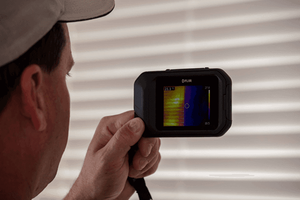 Termite inspections