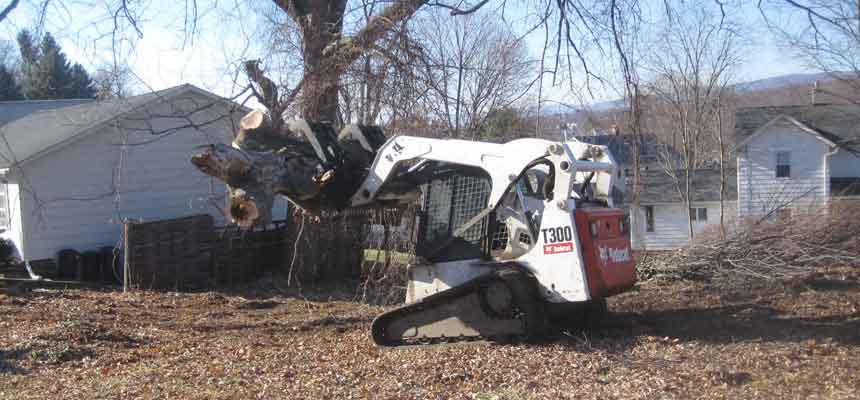 Clearing Logs - Tree Trimming in Eynon, PA