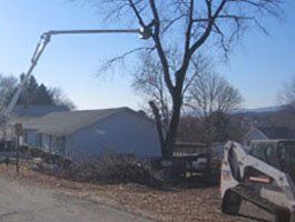 Reach - Tree Trimming in Eynon, PA
