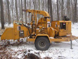 Wood Chuck - Tree Trimming in Eynon, PA
