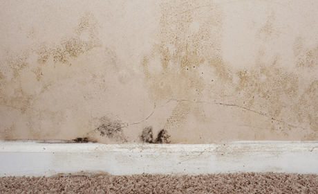 Damp-proofing