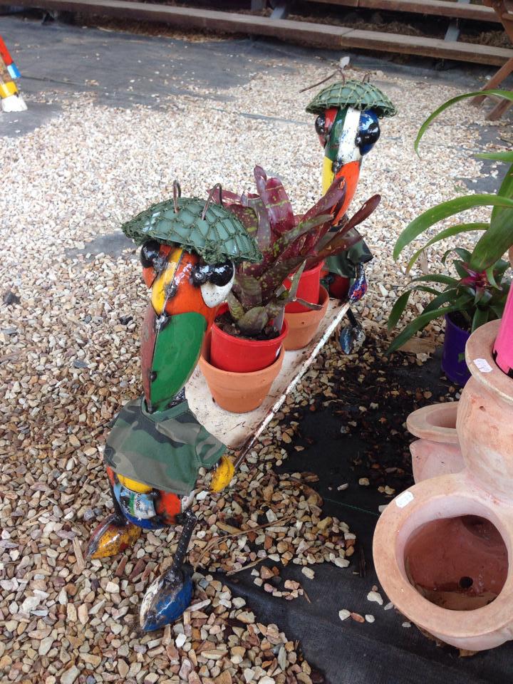 plants