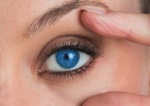 Contact Lenses