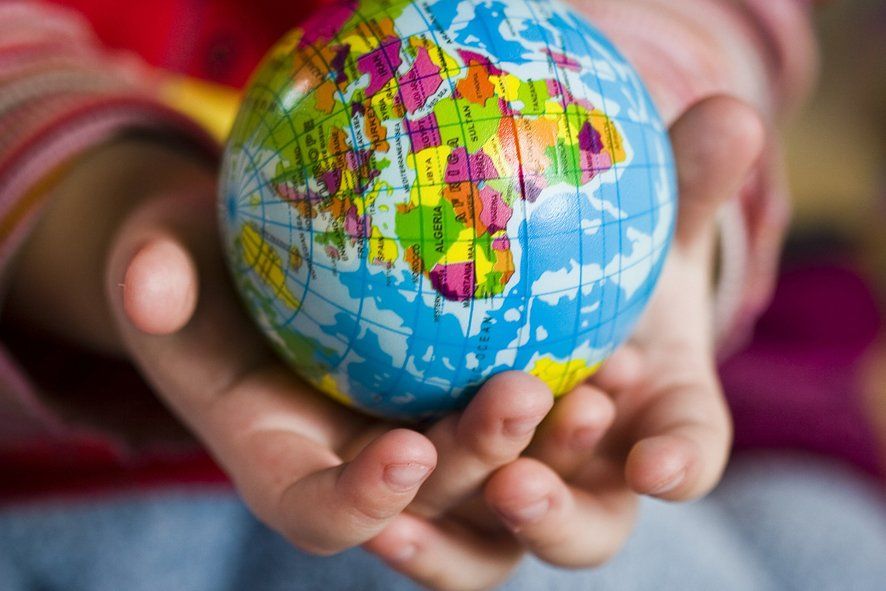 Red Local y Global