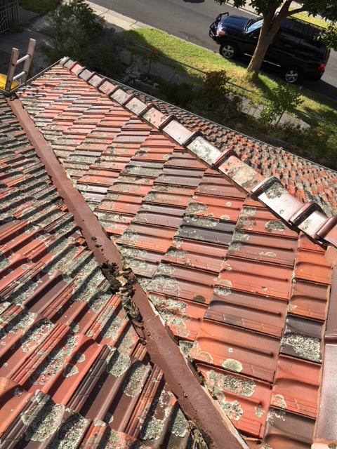 Roof Restoration