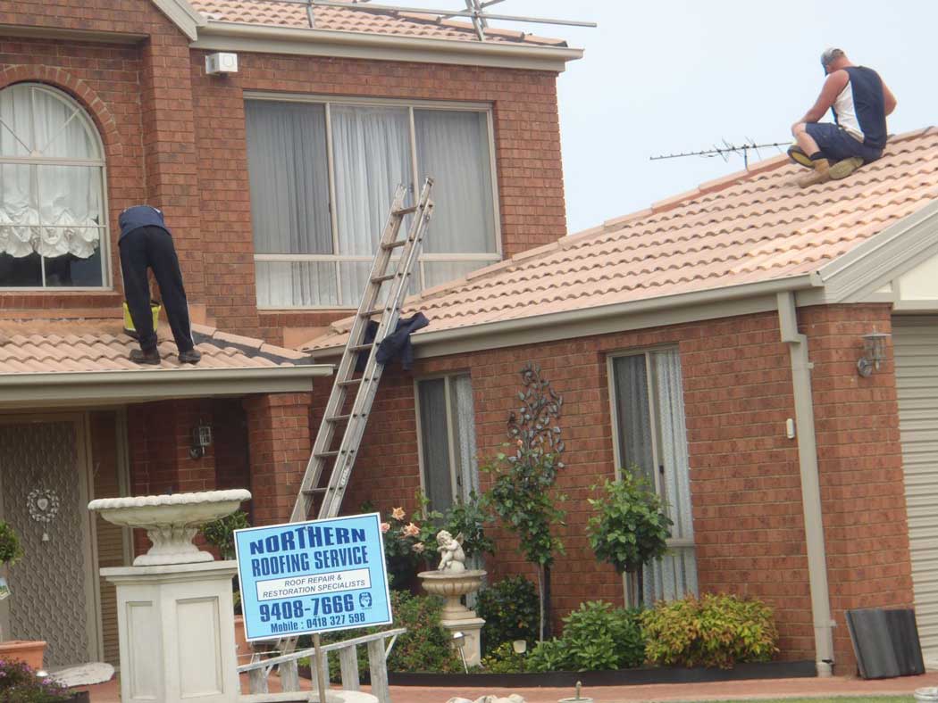 Professional Roof Service