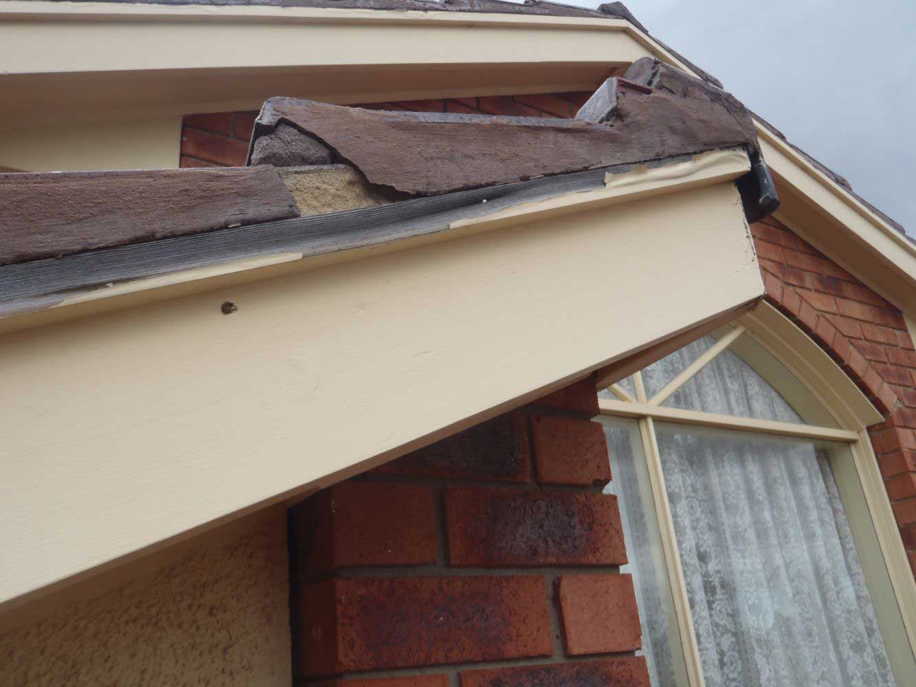 Experiencing Quality Roof Service