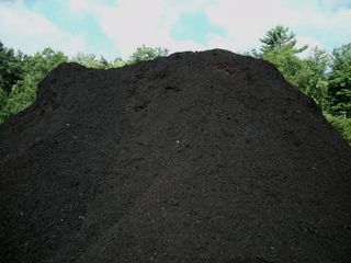 CARBON_4118.JPG