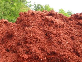 RUSTICRED.JPG