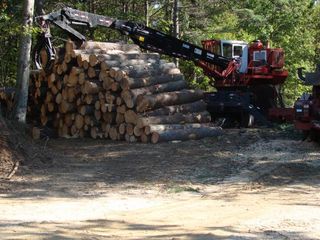 jd_summer_2011_015.JPG