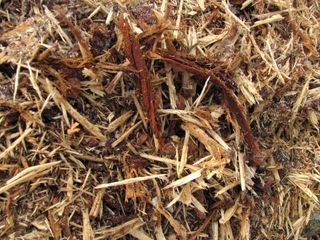 mulch_003.JPG