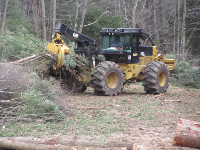oakwoods_jobs_and_maple_010.JPG