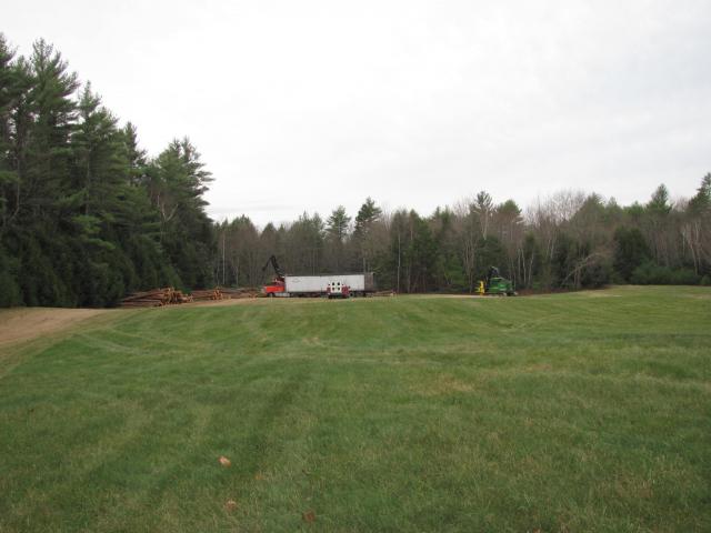 oakwoods_jobs_and_maple_021.JPG