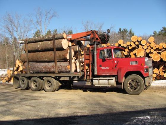 oakwoods_jobs_and_maple_335.JPG