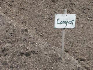 summer_2010_agin_149.JPG