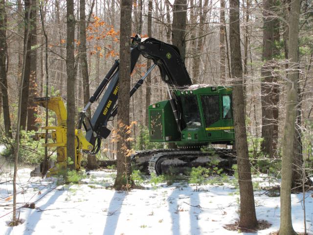 winter_spring_2010_027.JPG