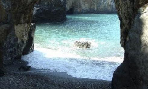 mare