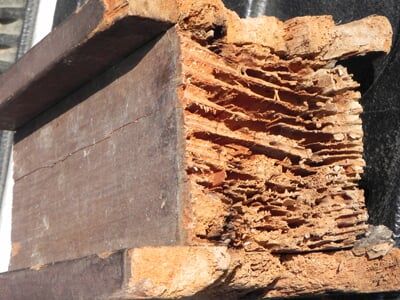 Damaged Wood — Pests in Champaign, IL Damaged Wood — Pests in Champaign, IL
