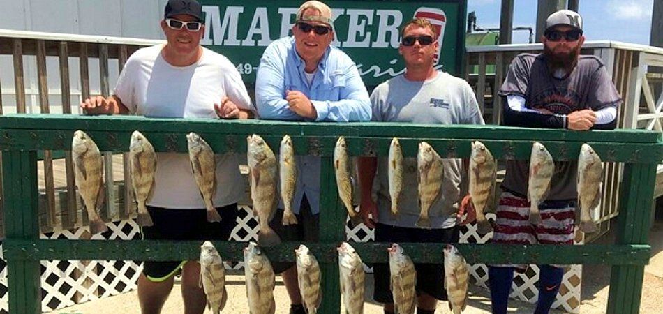 Book a fishing trip