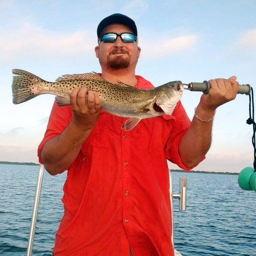 rout fishing guide