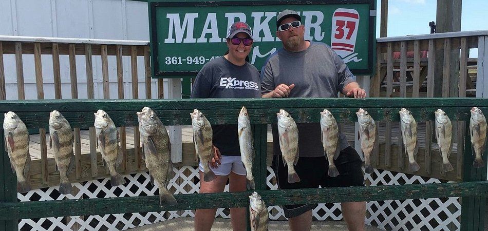 Saltwater fishing guide