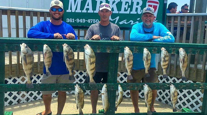 South Texas fishing guide