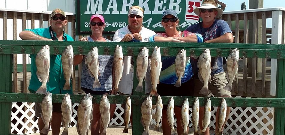 black drum caught fishing charter