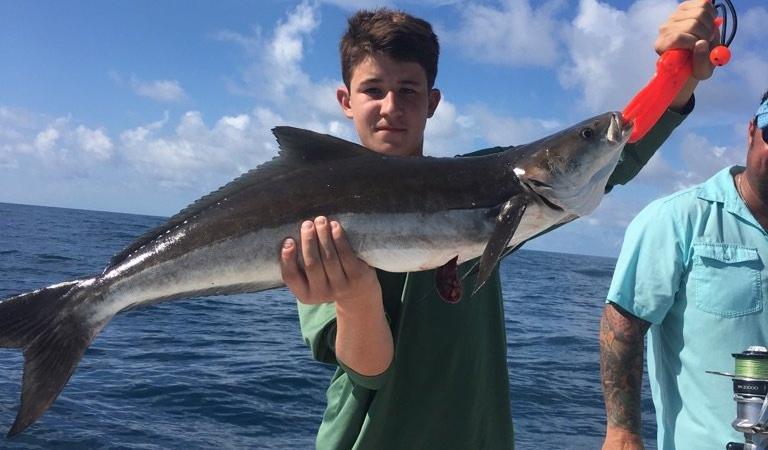 Kingfish Caught