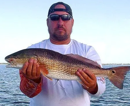 Large Redfish Caught