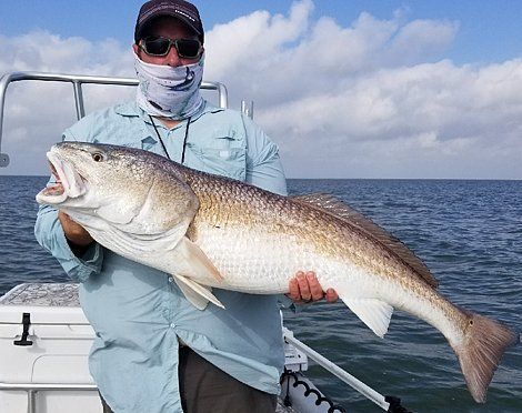 bull redfish fishing charter