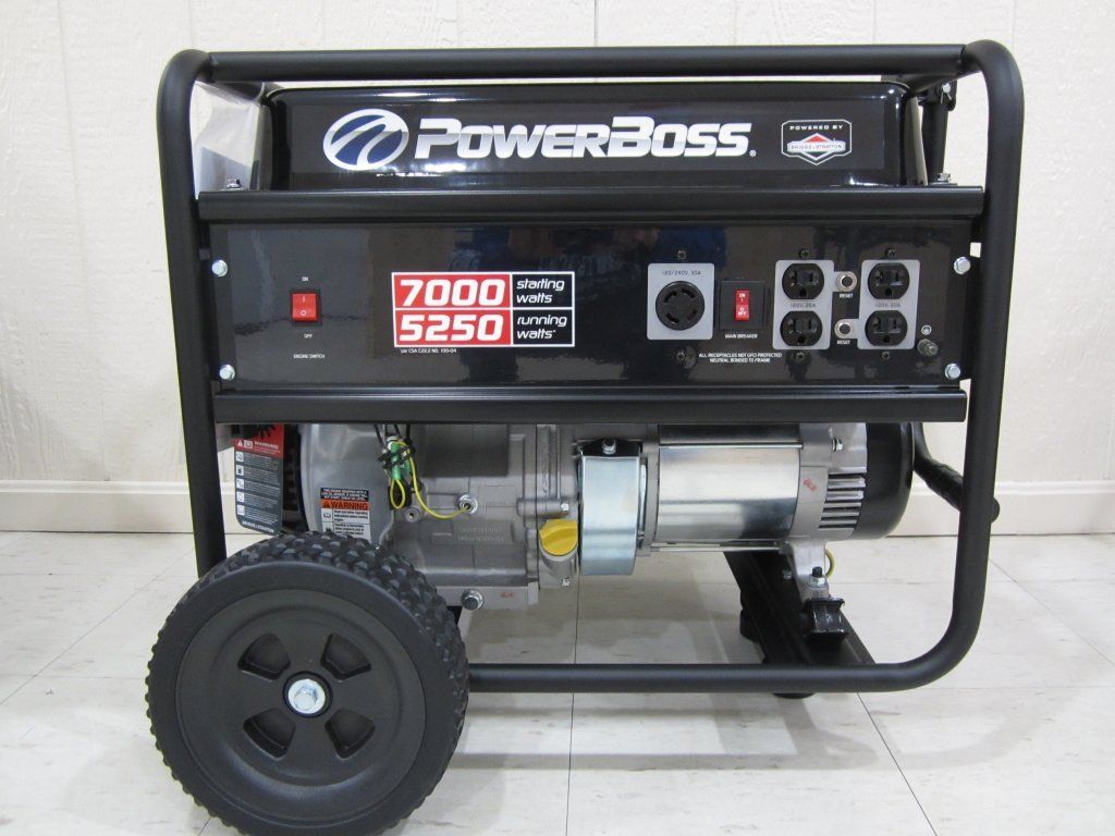 Briggs & Stratton