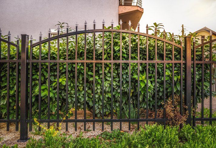 Custom Gate — Black Fence Design in San Francisco, CA Custom Gate — Black Fence Design in San Francisco, CA