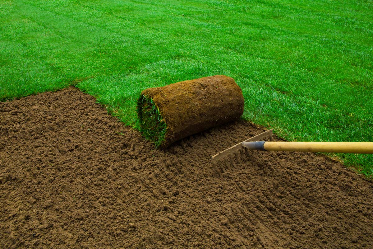 Sod roll installation