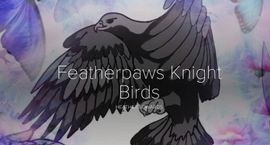 Featherpaws Knight Birds Slide Presentation Heather Edwards Featherpaws Knight Birds Slide Presentation Heather Edwards