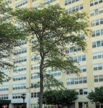 Embassy Towers Building Exterior