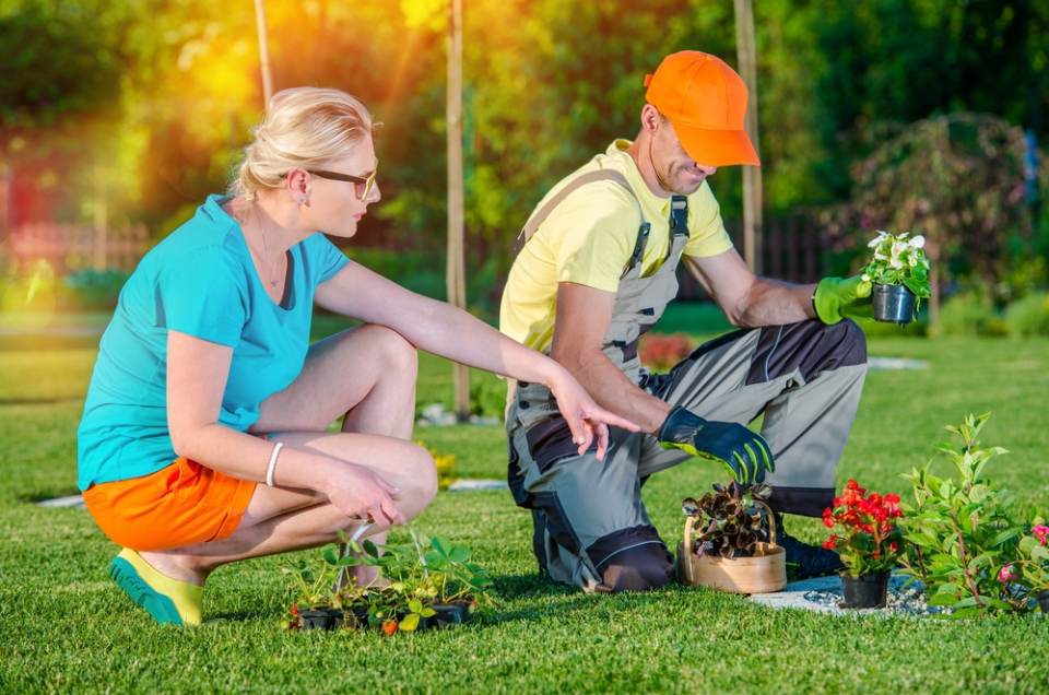 experts planting plants