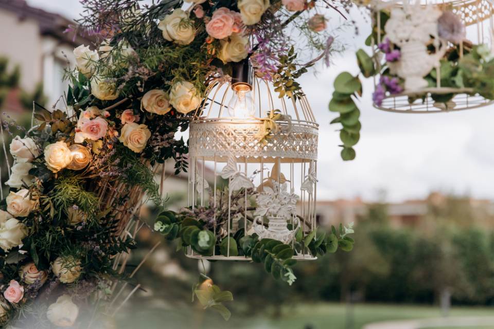 beautiful flowers surrounding a wire