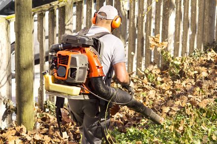 forestry services