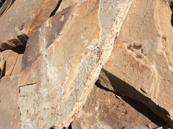 - flagstone in Franktown, CO - flagstone in Franktown, CO